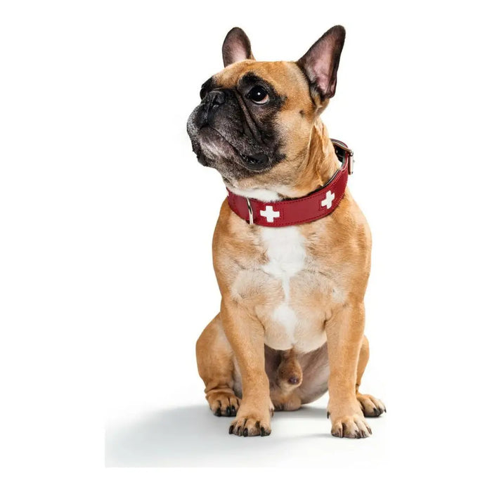 Dog collar Hunter Swiss Red/Black 35-43 cm - Домашни Животни<<<Дом Градина<<<BigBuy&&&Пътуване и разходки<<<Домашни