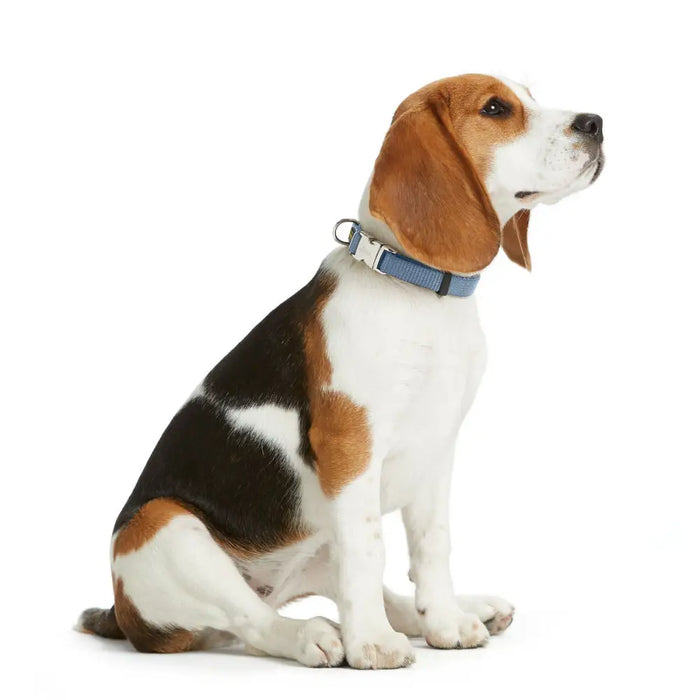 Dog collar Hunter VARIO BASIC Blue M 30-45 cm - Домашни Животни<<<Дом Градина<<<BigBuy&&&Пътуване и разходки<<<Домашни