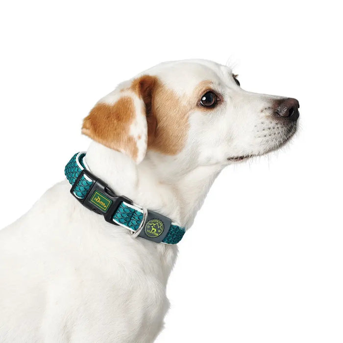 Dog collar Hunter Vario Basic Threads Turquoise 20 - Домашни Животни<<<Дом Градина<<<BigBuy&&&Пътуване и