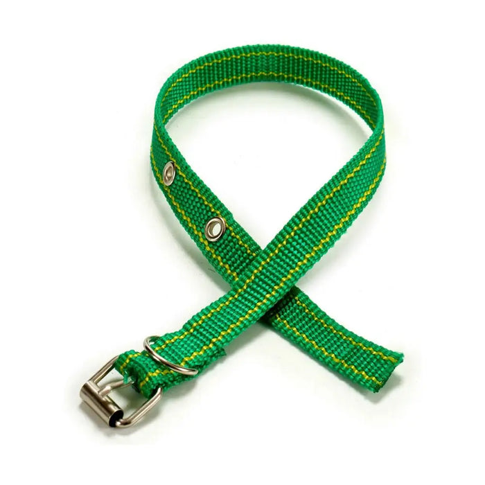 Dog collar Mascow 0,3 x 42 x 2 cm (12 Units) - Домашни Животни<<<Дом Градина<<<BigBuy&&&Пътуване и разходки<<<Домашни