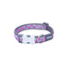 Dog collar Red Dingo STYLE HOT PINK ON COOL GREY 41-63 cm - Домашни Животни<<<Дом Градина<<<BigBuy&&&Пътуване и