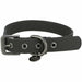 Dog collar Trixie Black XS/S 25-32 cm - Домашни Животни<<<Дом Градина<<<BigBuy&&&Пътуване и разходки<<<Домашни