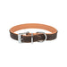 Dog collar Trixie Brown Light brown - Домашни Животни<<<Дом Градина<<<BigBuy&&&Пътуване и разходки<<<Домашни