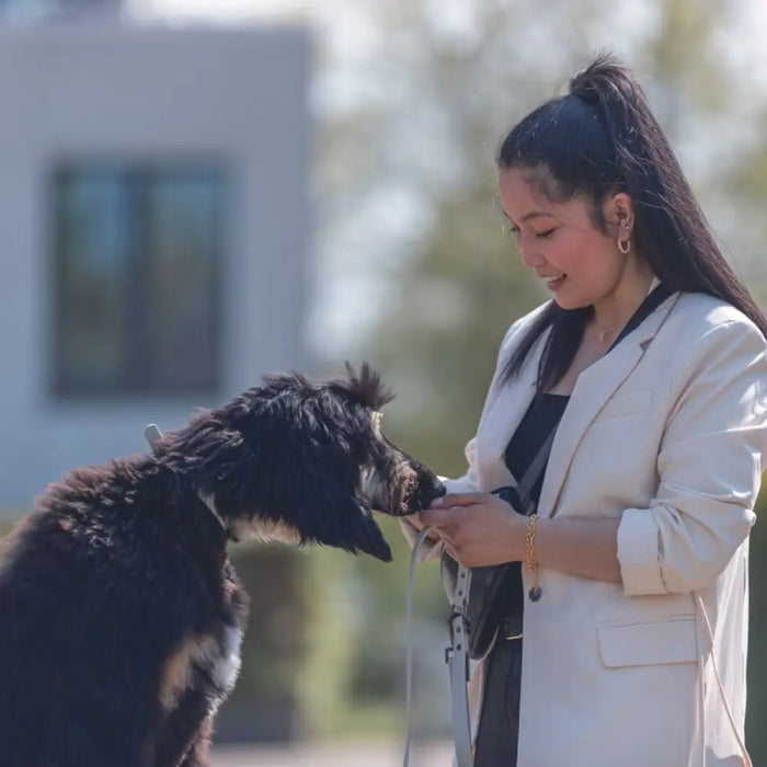 Dog collar Trixie CityStyle Black L/XL 50-57 cm - Пътуване и разходки<<<Домашни Животни<<<Дом Градина<<<BigBuy