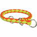 Dog collar Trixie Green Orange 25-31 cm 25 x 31 cm - Домашни Животни<<<Дом Градина<<<BigBuy&&&Пътуване и