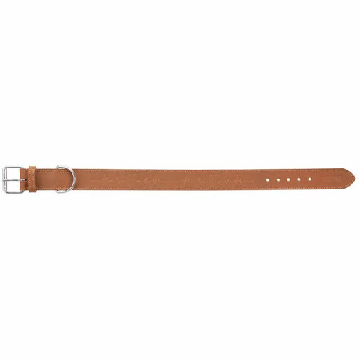 Dog collar Trixie Heartbeat Brown L 47-55 cm - Домашни Животни<<<Дом Градина<<<BigBuy&&&Пътуване и разходки<<<Домашни
