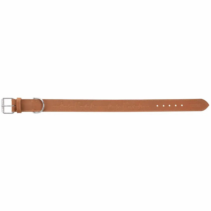 Dog collar Trixie Heartbeat Brown L 47-55 cm - Домашни Животни<<<Дом Градина<<<BigBuy&&&Пътуване и разходки<<<Домашни