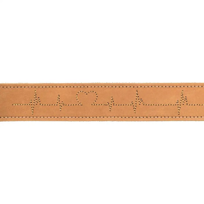 Dog collar Trixie Heartbeat Brown L/XL 55-65 cm - Домашни Животни<<<Дом Градина<<<BigBuy&&&Пътуване и