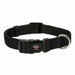 Dog collar Trixie New Premium Black S 25-40 cm - Домашни Животни<<<Дом Градина<<<BigBuy&&&Пътуване и разходки<<<Домашни