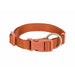 Dog collar Trixie Premium Orange M/L 35-55 cm - Домашни Животни<<<Дом Градина<<<BigBuy&&&Пътуване и разходки<<<Домашни