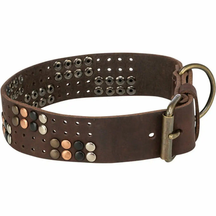 Dog collar Trixie Rustic Dark brown M - Домашни Животни<<<Дом Градина<<<BigBuy&&&Пътуване и разходки<<<Домашни