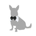 Dog Costume Bow tie M - Домашни Животни<<<Дом Градина<<<BigBuy&&&Играчки<<<Домашни Животни<<<Дом Градина<<<BigBuy