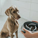 Dog Feeder Hunter Melamin 550 ml - Домашни Животни<<<Дом Градина<<<BigBuy&&&Купички за храна и вода<<<Домашни