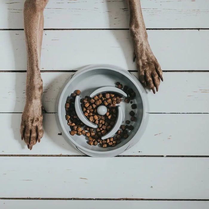 Dog Feeder Hunter Melamin 550 ml - Домашни Животни<<<Дом Градина<<<BigBuy&&&Купички за храна и вода<<<Домашни