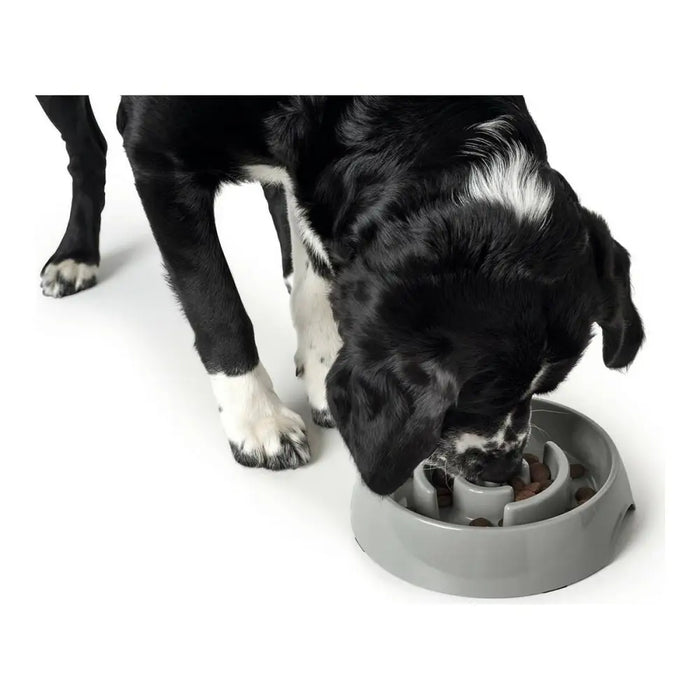 Dog Feeder Hunter Melamin 550 ml - Домашни Животни<<<Дом Градина<<<BigBuy&&&Купички за храна и вода<<<Домашни