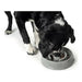 Dog Feeder Hunter Melamin 550 ml - Домашни Животни<<<Дом Градина<<<BigBuy&&&Купички за храна и вода<<<Домашни