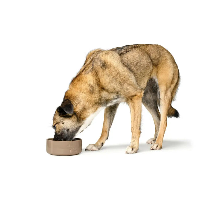 Dog Feeder Hunter OSBY Beige Ceramic 550 ml - Домашни Животни<<<Дом Градина<<<BigBuy&&&Купички за храна и