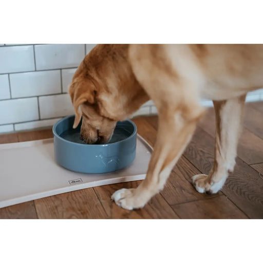 Dog Feeder Hunter OSBY GLAZED Blue Ceramic 2,5 L - Домашни Животни<<<Дом Градина<<<BigBuy&&&Купички за храна и