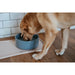 Dog Feeder Hunter OSBY GLAZED Blue Ceramic 2,5 L - Домашни Животни<<<Дом Градина<<<BigBuy&&&Купички за храна и