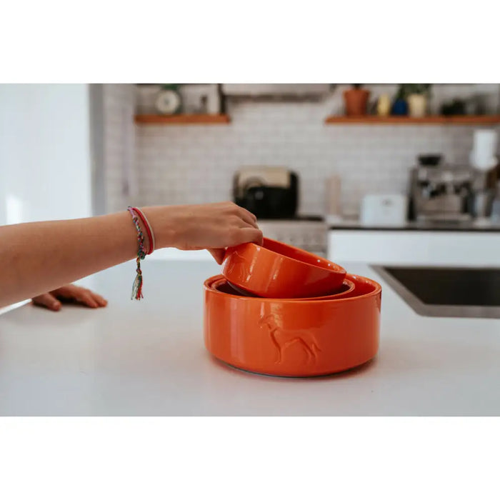Dog Feeder Hunter OSBY Orange Ceramic 550 ml - Домашни Животни<<<Дом Градина<<<BigBuy&&&Купички за храна и
