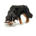 Dog Feeder Hunter Silicone Stainless steel 4,1 L - Домашни Животни<<<Дом Градина<<<BigBuy&&&Купички за храна и