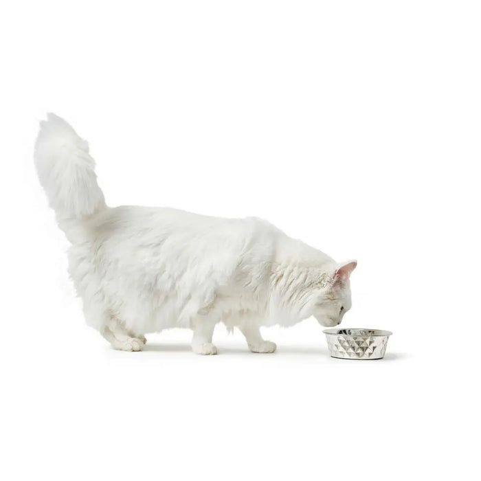 Dog Feeder Hunter Silicone Stainless steel 4,1 L - Домашни Животни<<<Дом Градина<<<BigBuy&&&Купички за храна и