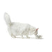 Dog Feeder Hunter Silicone Stainless steel 4,1 L - Домашни Животни<<<Дом Градина<<<BigBuy&&&Купички за храна и