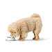 Dog Feeder Hunter Valencia White 350 ml - Домашни Животни<<<Дом Градина<<<BigBuy&&&Купички за храна и вода<<<Домашни