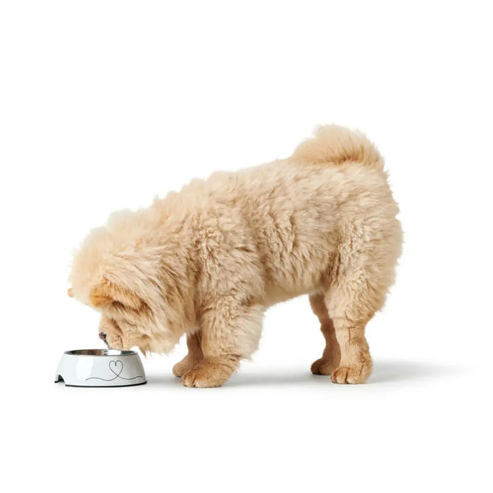 Dog Feeder Hunter Valencia White 700 ml - Домашни Животни<<<Дом Градина<<<BigBuy&&&Купички за храна и вода<<<Домашни