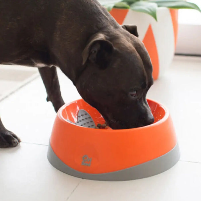 Dog Feeder Lickimat Oh Bowl Orange - Домашни Животни<<<Дом Градина<<<BigBuy&&&Купички за храна и вода<<<Домашни