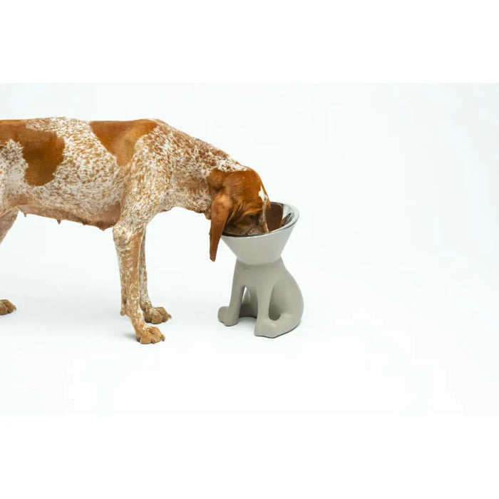 Dog Feeder United Pets Up Elisabeth Grey Stainless steel Polyethylene 1 L - Домашни Животни<<<Дом