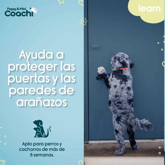 Dog Harness Coachi - Домашни Животни<<<Дом Градина<<<BigBuy&&&Пътуване и разходки<<<Домашни Животни<<<Дом