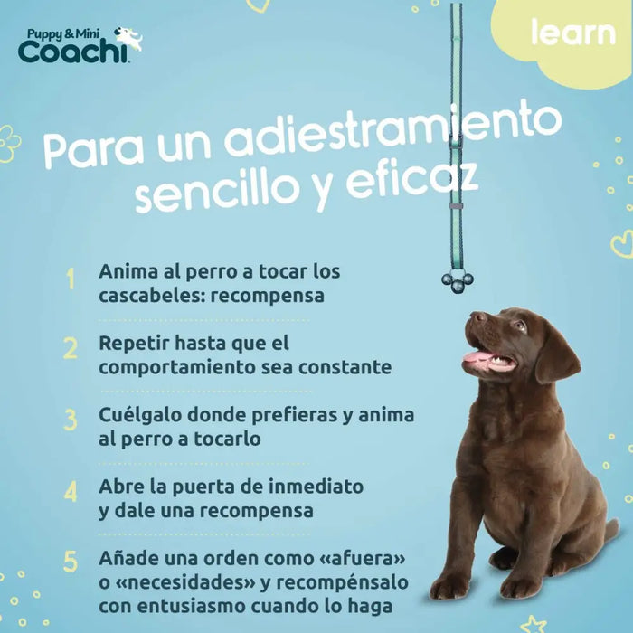 Dog Harness Coachi - Домашни Животни<<<Дом Градина<<<BigBuy&&&Пътуване и разходки<<<Домашни Животни<<<Дом