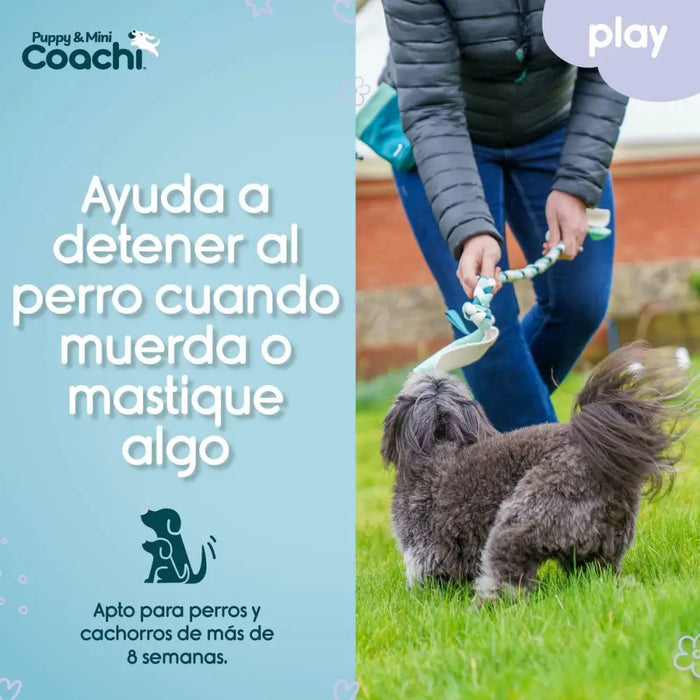 Dog Harness Coachi - Домашни Животни<<<Дом Градина<<<BigBuy&&&Пътуване и разходки<<<Домашни Животни<<<Дом