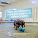 Dog Harness Coachi - Домашни Животни<<<Дом Градина<<<BigBuy&&&Пътуване и разходки<<<Домашни Животни<<<Дом