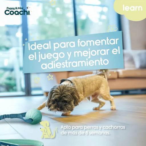 Dog Harness Coachi - Домашни Животни<<<Дом Градина<<<BigBuy&&&Пътуване и разходки<<<Домашни Животни<<<Дом