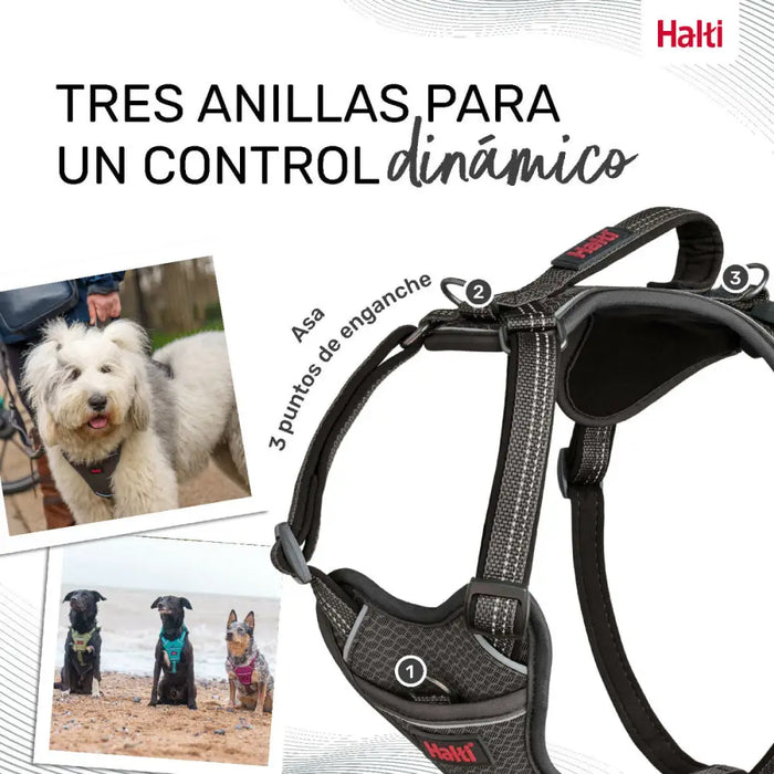 Dog Harness Company of Animals Grey L 42-65 cm - Домашни Животни<<<Дом Градина<<<BigBuy&&&Пътуване и разходки<<<Домашни