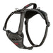 Dog Harness Company of Animals Grey S 28-42 cm - Домашни Животни<<<Дом Градина<<<BigBuy&&&Пътуване и разходки<<<Домашни