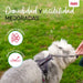 Dog Harness Company of Animals Grey S 28-42 cm - Домашни Животни<<<Дом Градина<<<BigBuy&&&Пътуване и разходки<<<Домашни