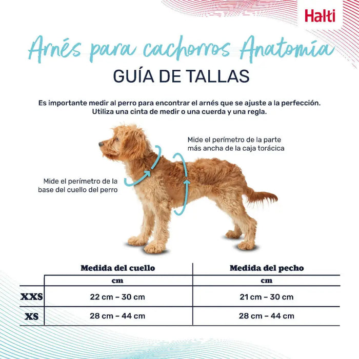 Dog Harness Company of Animals Grey XS 28-44 cm - Домашни Животни<<<Дом Градина<<<BigBuy&&&Пътуване и