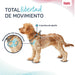 Dog Harness Company of Animals Grey XS 28-44 cm - Домашни Животни<<<Дом Градина<<<BigBuy&&&Пътуване и