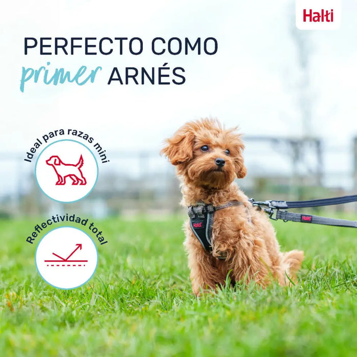 Dog Harness Company of Animals Grey XS 28-44 cm - Домашни Животни<<<Дом Градина<<<BigBuy&&&Пътуване и