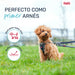 Dog Harness Company of Animals Grey XS 28-44 cm - Домашни Животни<<<Дом Градина<<<BigBuy&&&Пътуване и
