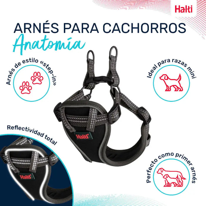 Dog Harness Company of Animals Grey XS 28-44 cm - Домашни Животни<<<Дом Градина<<<BigBuy&&&Пътуване и