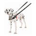 Dog Harness Company of Animals Halti Black/Red Size S (36-64 cm) - Домашни Животни<<<Дом Градина<<<BigBuy&&&Пътуване и