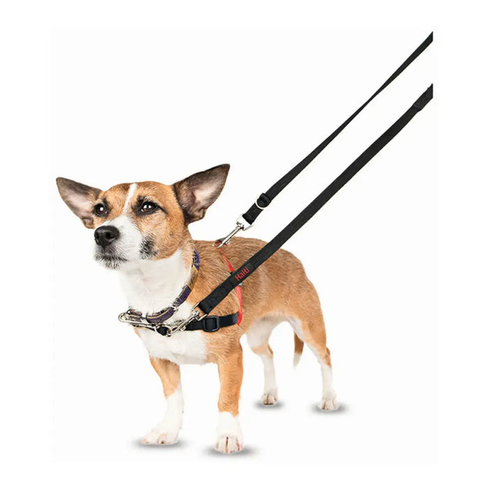 Dog Harness Company of Animals Halti Black/Red Size S (36-64 cm) - Домашни Животни<<<Дом Градина<<<BigBuy&&&Пътуване и
