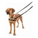 Dog Harness Company of Animals Halti Black/Red Size S (36-64 cm) - Домашни Животни<<<Дом Градина<<<BigBuy&&&Пътуване и