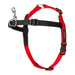 Dog Harness Company of Animals Halti Black/Red Size S (36-64 cm) - Домашни Животни<<<Дом Градина<<<BigBuy&&&Пътуване и
