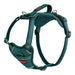 Dog Harness Company of Animals Turquoise M 35-55 cm - Домашни Животни<<<Дом Градина<<<BigBuy&&&Пътуване и