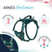 Dog Harness Company of Animals Turquoise M 35-55 cm - Домашни Животни<<<Дом Градина<<<BigBuy&&&Пътуване и